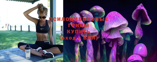 мдпв Балахна